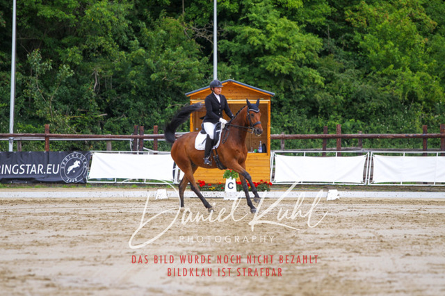 DKP47284 | Turniersportfotografie; Pferdefotografie; Dressurfotografie