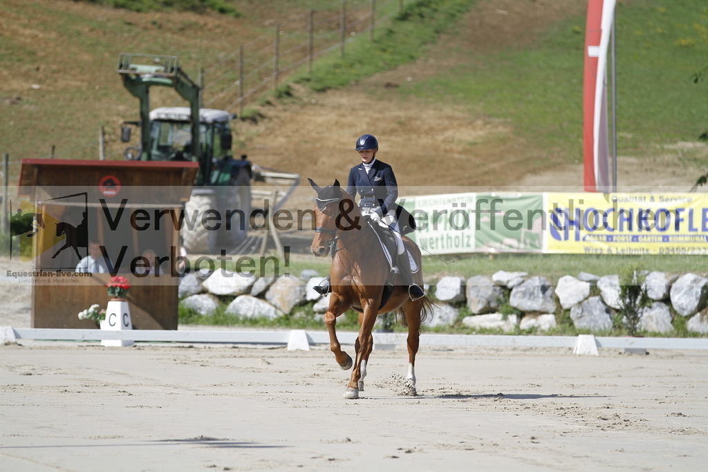 _MG_2821 | equestrian-live-com