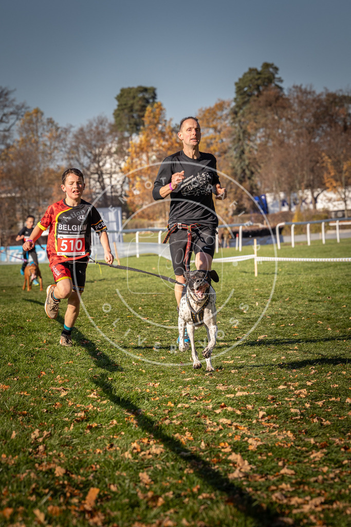 CaniXpix_0L8A6777 | Hundefotografie, Tierfotograf, Pfotenfotografie, Fotoshooting Hund, Hunde Portrait, Hundesport, Hundeportraits, Heideshooting, Hunde, Sportfotograf, Hundefotograf, Turnierhundsport, THS,  - Realisiert mit Pictrs.com