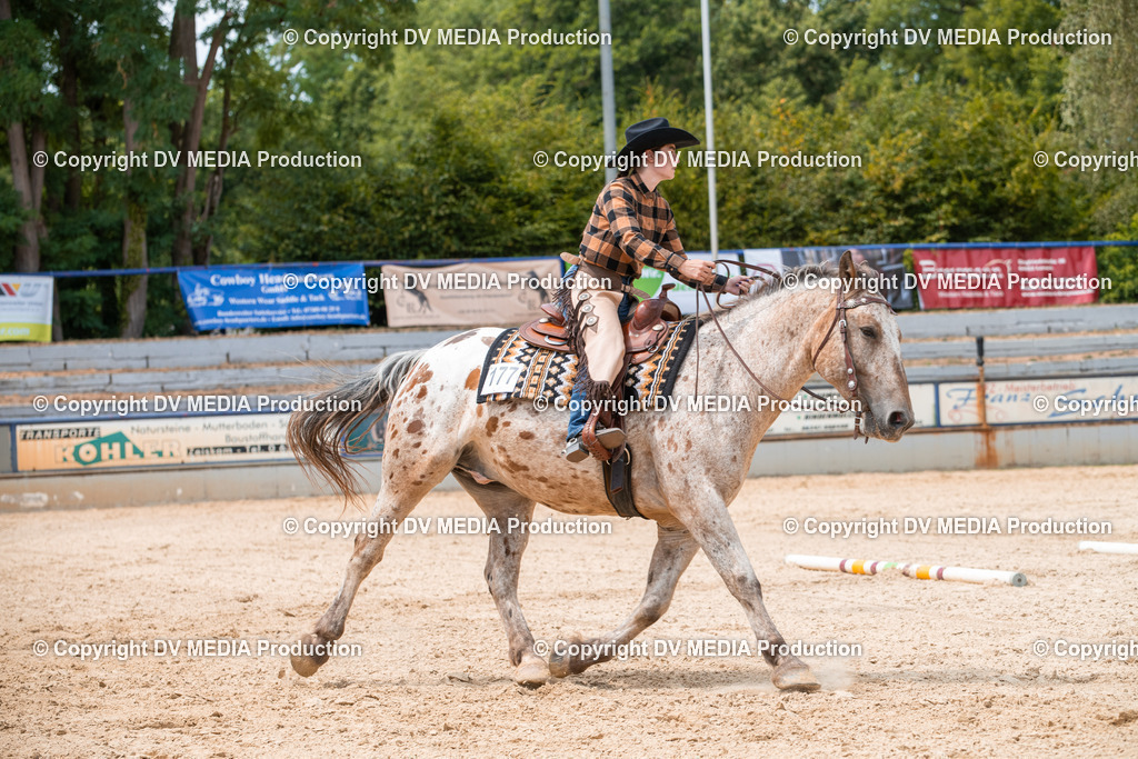 EWP_6382 | dv-media-shop - Realisiert mit Pictrs.com