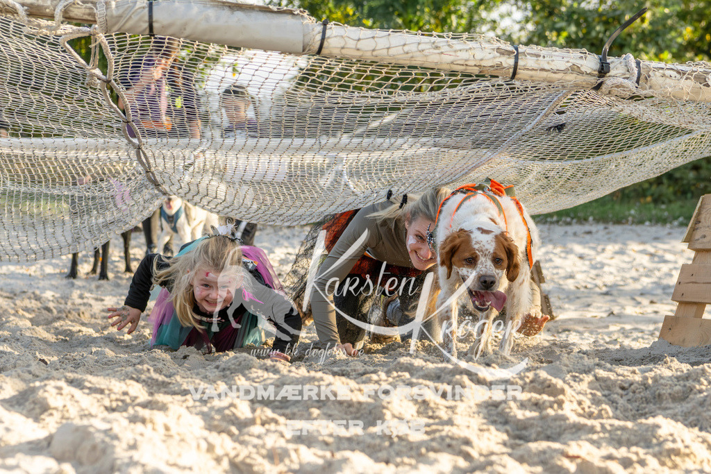 1646_ZZ99281 | kk-dogfotos