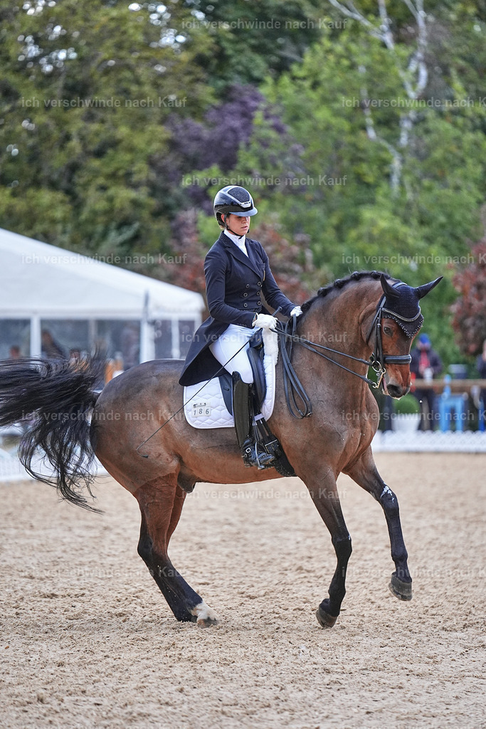 12-186-DRESSUR  S___  -Marixx-5260 | working equitationturnier fotograf videograf stoibphotography marixx film working equitation deutschland reitsport turnierfotografie eventfotografie equestrian events
