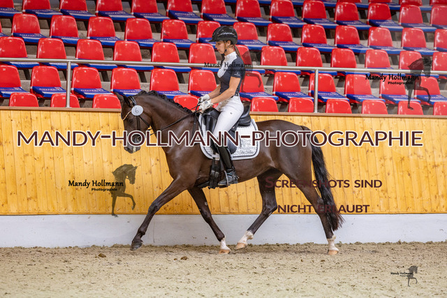 SLP 2 (416 von 1007) | mandyhollmannphotographie