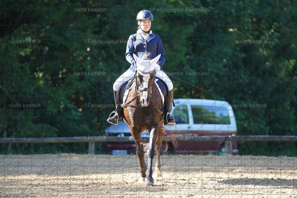 20240706-FAH04460 | Grafing Turnierfotos, Reitverein Ebersberg, Turnierfotografen Bayern, reitsportbilder, Pferdefotograf, reitsportfotograf, Sportbilder, Reitsportfotografie, Fotoagentur Herrmann, Turnierfotograf