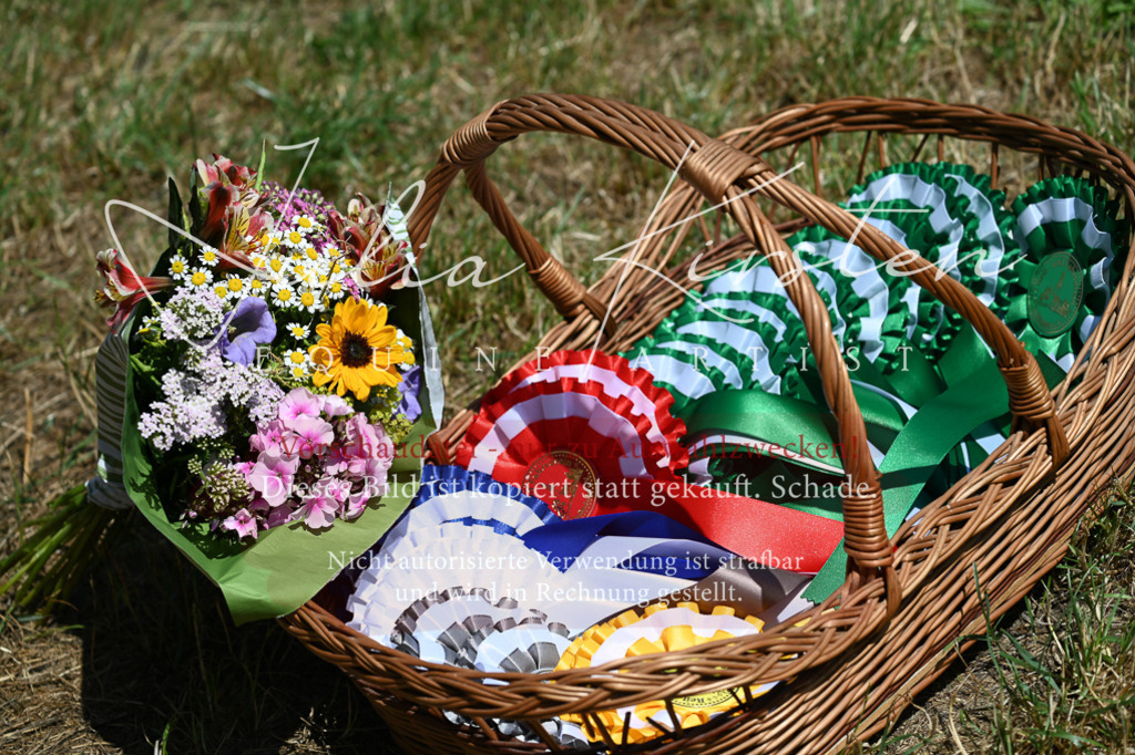 DSC_9914 | Pferde- und Turnierfotografie in Westsachsen. Pferdeportraits, Auftragszeichnungen und intuitive Kunst.