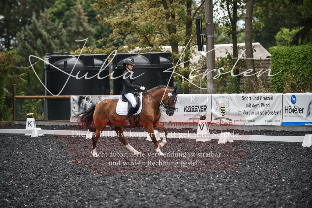 DSC_4509 | Pferde- und Turnierfotografie in Westsachsen. Pferdeportraits, Auftragszeichnungen und intuitive Kunst.