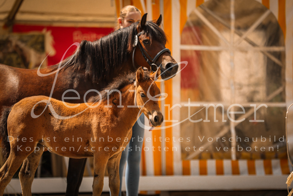 02.DoSR00062 | Leoni Ertmer Photography - Realisiert mit Pictrs.com