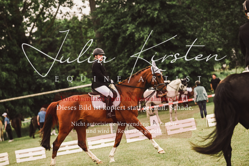 DSC_5070 | Pferde- und Turnierfotografie in Westsachsen. Pferdeportraits, Auftragszeichnungen und intuitive Kunst.