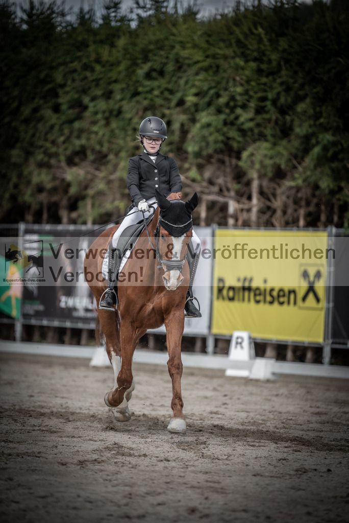 DSC_3269 | equestrian-live-com