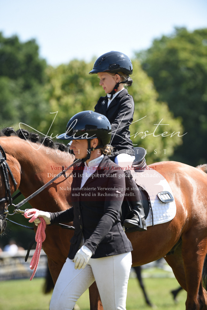DSC_9815 | Pferde- und Turnierfotografie in Westsachsen. Pferdeportraits, Auftragszeichnungen und intuitive Kunst.