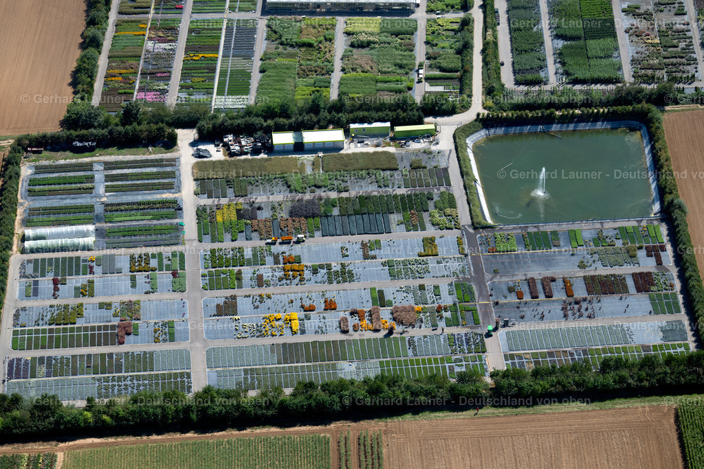 3902613 | Gärtnerei an der Maasstrasse, Neckargartach