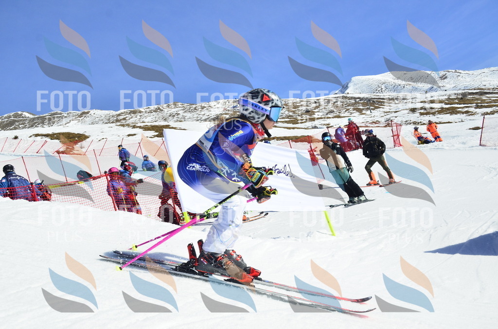 _ELE9999 | holidayphoto