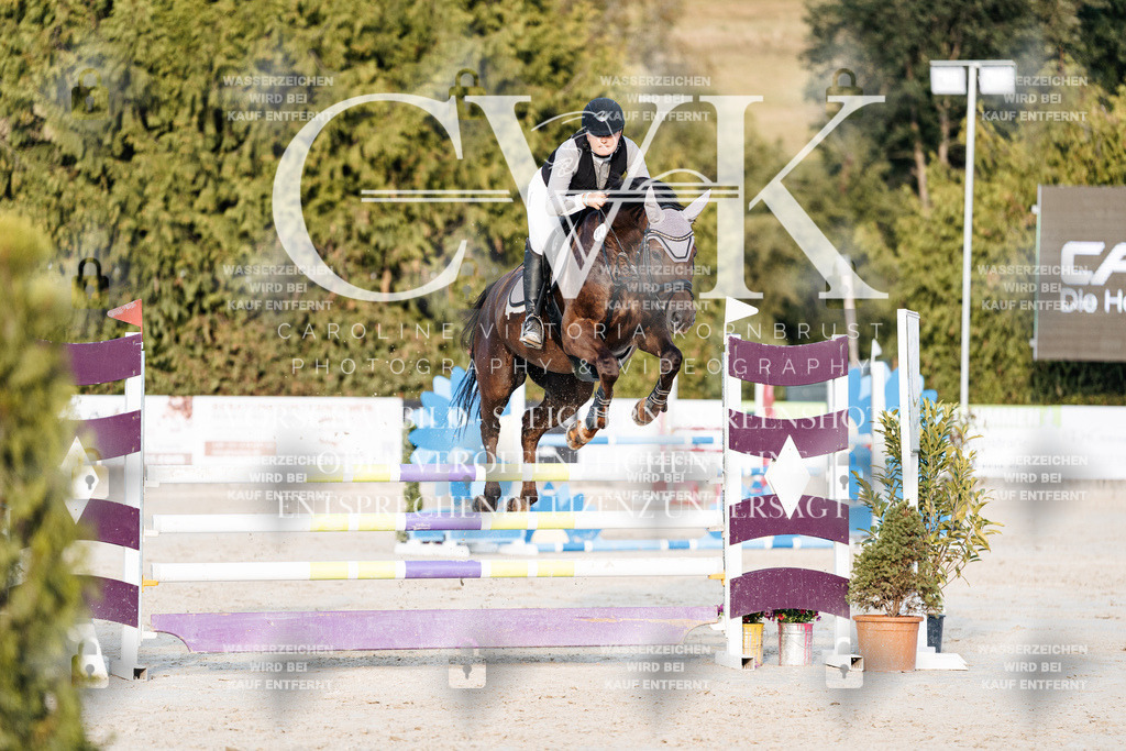 CK900851 | Turnierfotografie Pferdefotografie Trier Rheinland-Pfalz Pferdesport Reitsport Tierfotografie Sportfotografie Pferdevideo Pferdevideografie Equestrianvideography equestrianphotography  - Realisiert mit Pictrs.com