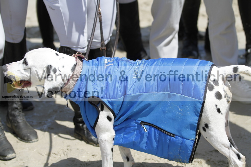 _MG_4365 | equestrian-live-com
