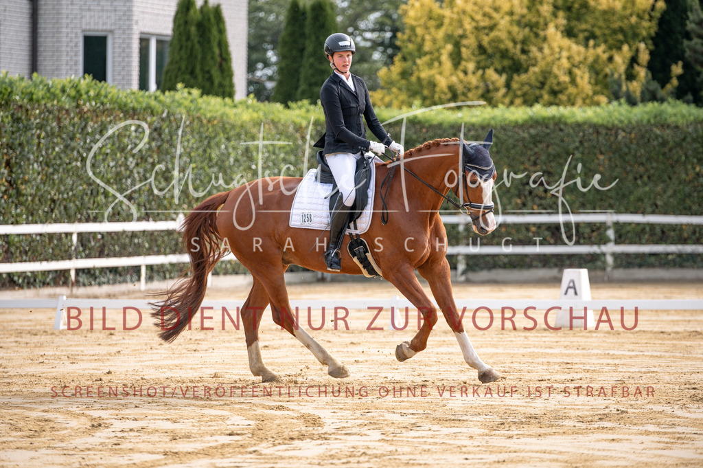 Schugtsche-Aluta25-40.DressurprfA_-60 | Schugtsche Fotografie - Realisiert mit Pictrs.com