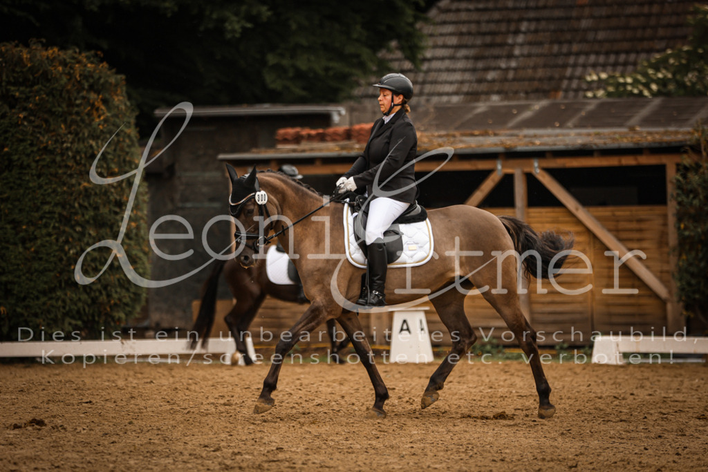 DoDrA00542 | Leoni Ertmer Photography - Realisiert mit Pictrs.com