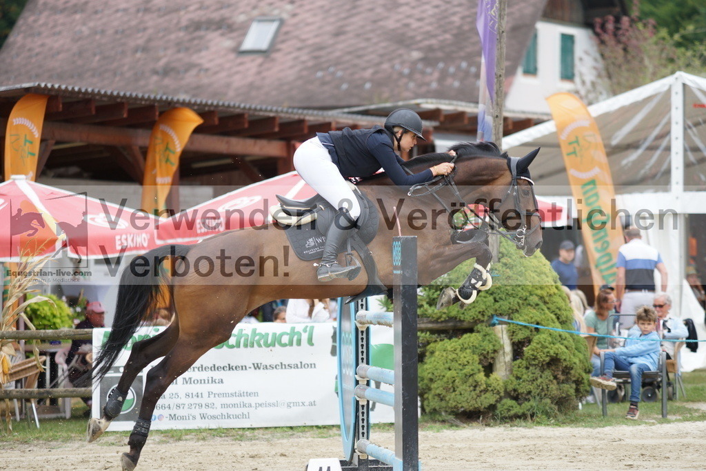 DSC03225 | equestrian-live-com
