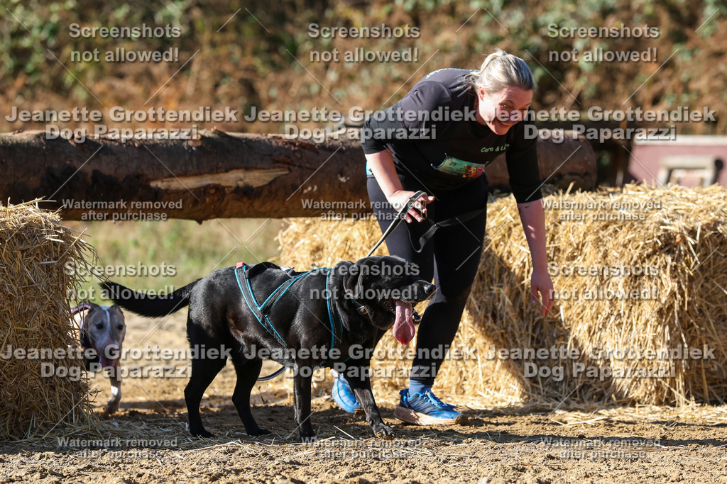 Dog Paparazzi - Strongdog 10-25-4649 | Dog Paparazzi Jeanette Grottendiek Fotografie & Videografie - Realisiert mit Pictrs.com