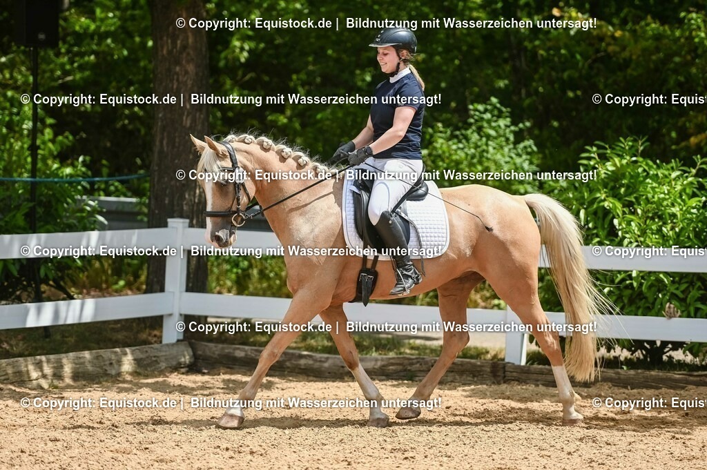 20230715_09_Dressur-WB_0522 | equistock