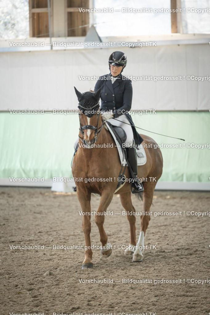 _D5A2445 | Emotionale Pferde- & People-Fotografie rund um Heidelberg, Leimen & Umgebung. Natürliche Fotos von Pferd, Mensch & Familie. Jetzt Termin sichern!