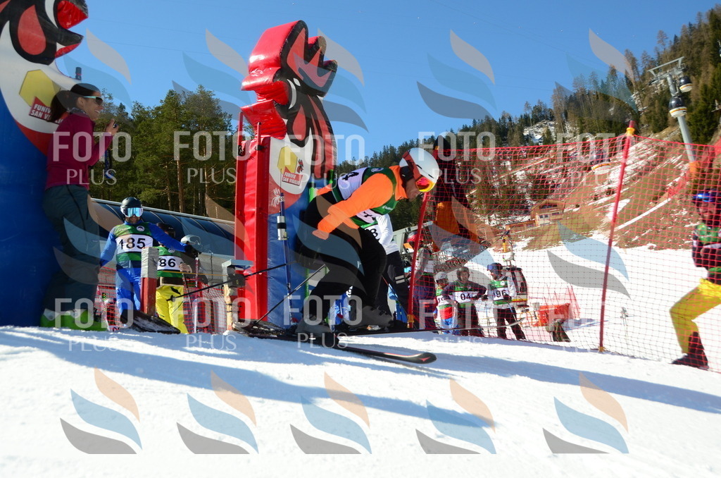 C6435 | holidayphoto