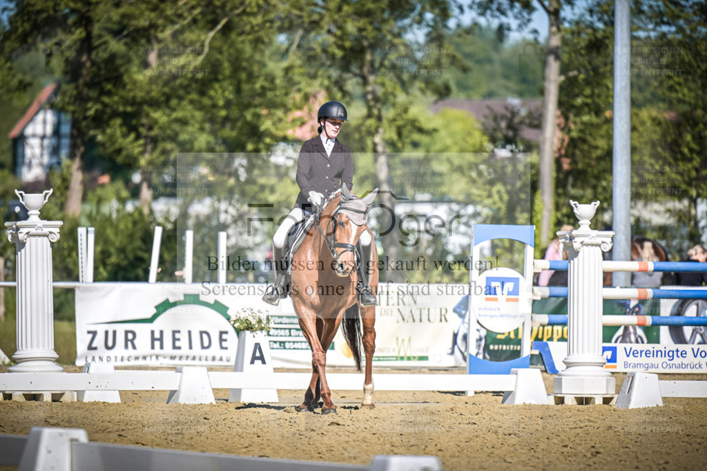 DOS_6836 | Entdecke hochwertige Reitturnierfotos von Foto Oger. Professionell, emotional und authentisch – jetzt Lieblingsmomente im Shop bestellen. - Realisiert mit Pictrs.com
