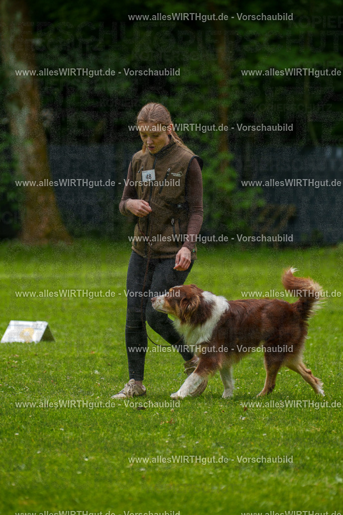@allesWIRTHgut_Tierfotografie - www.allesWIRTHgut.de - 7R500603 | Professionelle Tierfotografie in Mönchengladbach von Daniel Wirth (allesWIRTHgut). Liebevolle & natürliche Bilder von Hunden & Katzen für unvergessliche Erinnerungen.