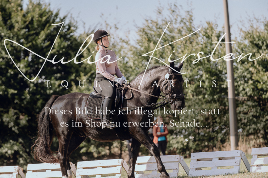 DSC_7075 | Pferde- und Turnierfotografie in Westsachsen. Pferdeportraits, Auftragszeichnungen und intuitive Kunst.