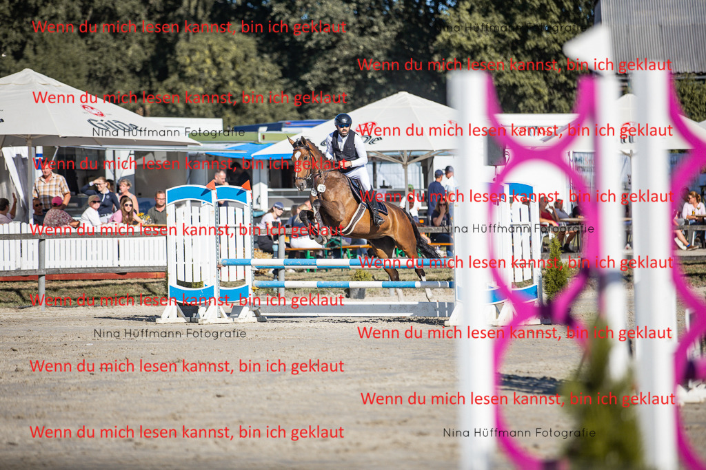BK1A7457 | Turnierbilder Turnierfotos Nina Hüffmann Turnierfotografie Pferdefotografie Tierzeichnung Haustierzeichnung Pferdezeichnung Hundezeichnung Videograf  - Realisiert mit Pictrs.com