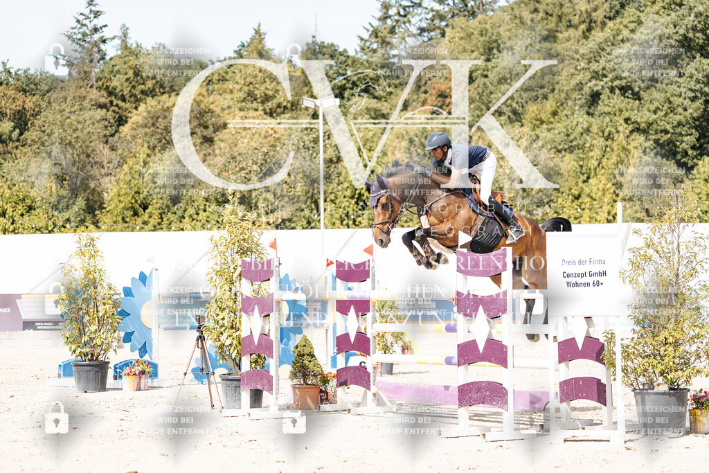 CK905068 | Turnierfotografie Pferdefotografie Trier Rheinland-Pfalz Pferdesport Reitsport Tierfotografie Sportfotografie Pferdevideo Pferdevideografie Equestrianvideography equestrianphotography  - Realisiert mit Pictrs.com