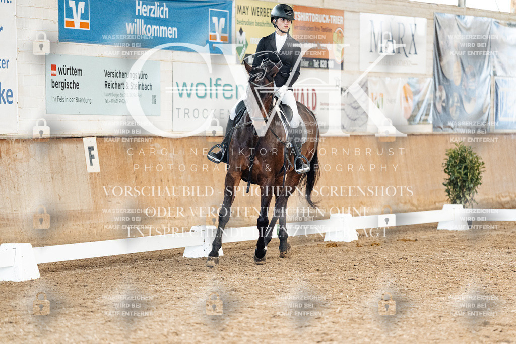 CK900043 | Turnierfotografie Pferdefotografie Trier Rheinland-Pfalz Pferdesport Reitsport Tierfotografie Sportfotografie Pferdevideo Pferdevideografie Equestrianvideography equestrianphotography  - Realized with Pictrs.com