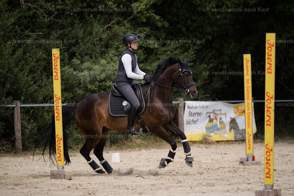 WM_SP_110_Stoibphotography_SO19177 | working equitationturnier fotograf videograf stoibphotography marixx film working equitation deutschland reitsport turnierfotografie eventfotografie equestrian events