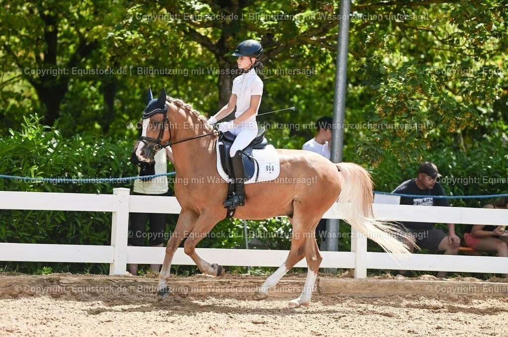 20230715_09_Dressur-WB_0282 | equistock