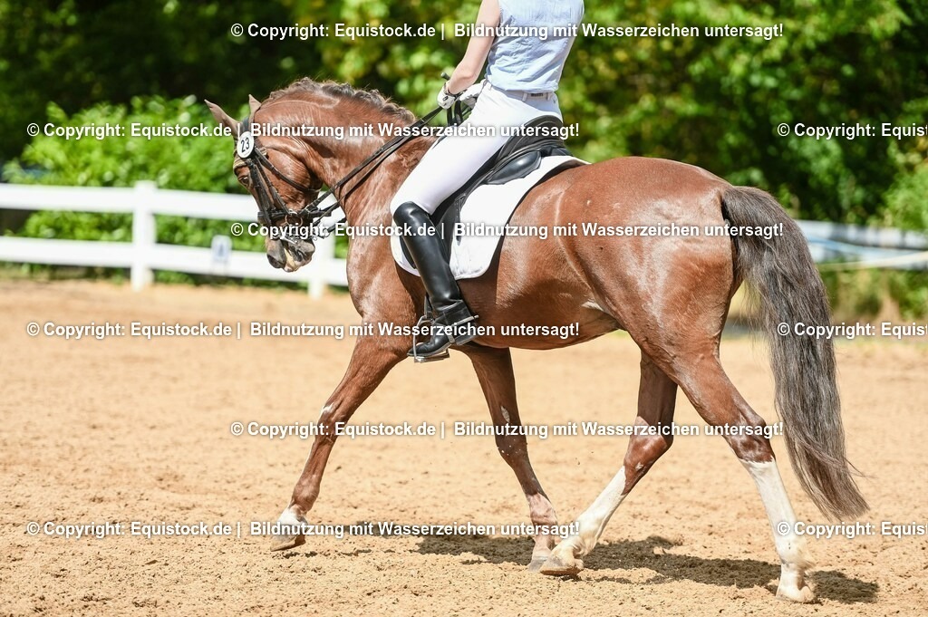 20230716_01_Dressurprüfung Kl.M_0246 | equistock