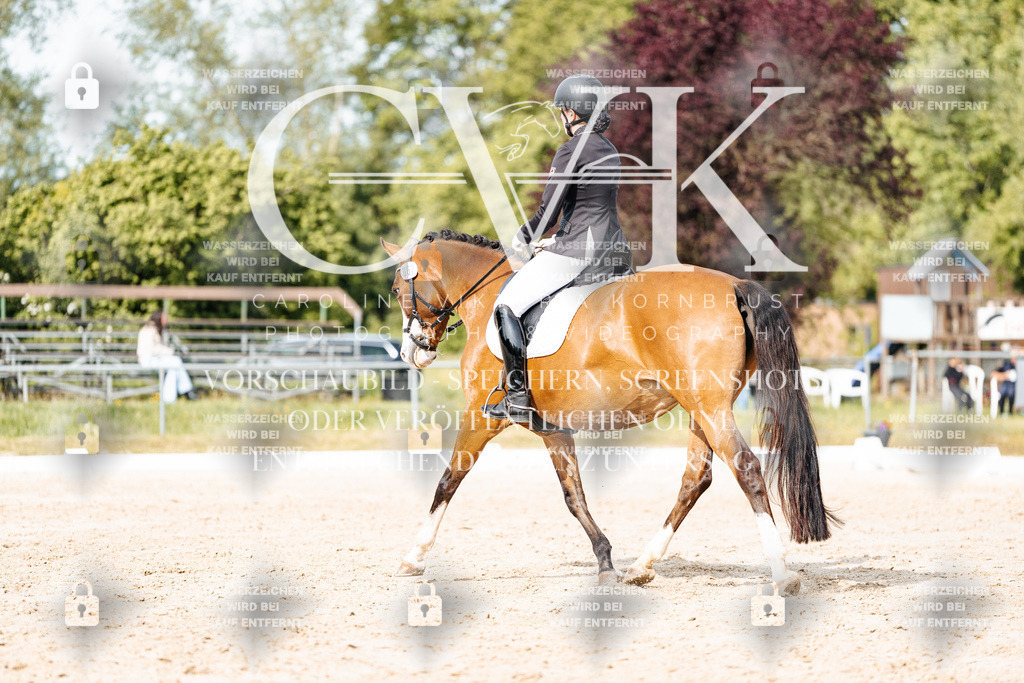 CK900585 | Turnierfotografie Pferdefotografie Trier Rheinland-Pfalz Pferdesport Reitsport Tierfotografie Sportfotografie Pferdevideo Pferdevideografie Equestrianvideography equestrianphotography  - Realisiert mit Pictrs.com