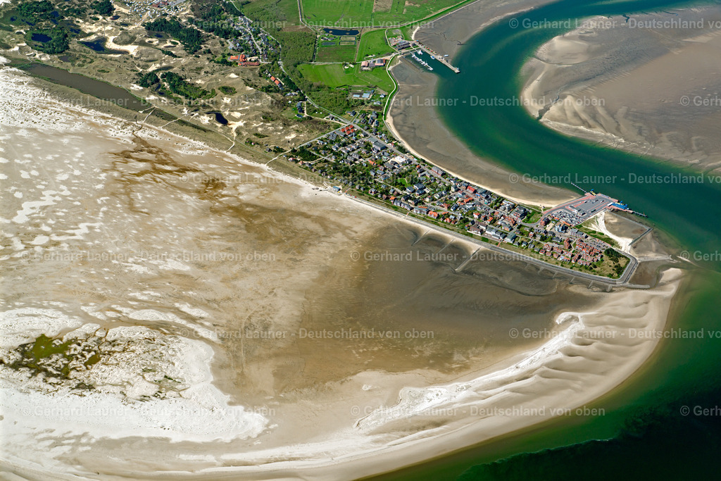 3801695 | Amrum, Nationalpark Schleswig-Holsteinisches Wattenmeer