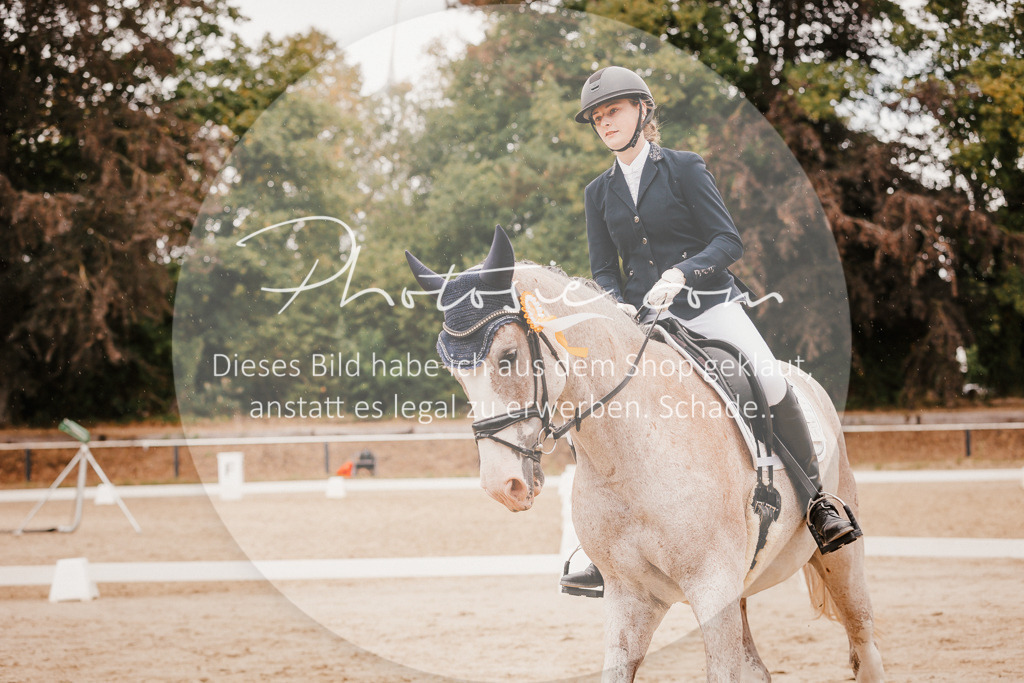3I6A6437 | Stimmungsvolle Portraits und Reitsportfotografie im Ruhrgebiet und im Münsterland.

Pferdefotografie, Hundefotografie, Tierfotografie, Reportagen, Portraits von Tier und Mensch, Turnierfotografie in Bochum, Recklinghausen, Marl, Haltern am See, Dülmen.. - Realisiert mit Pictrs.com