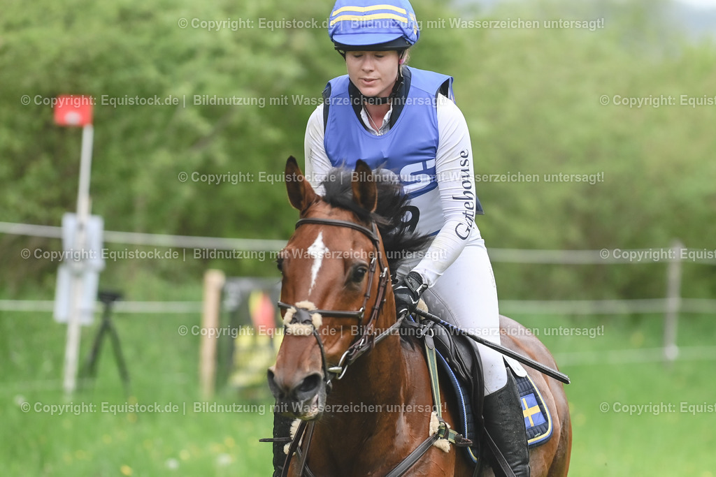 20230513_CCI4_Gelände_0490 | equistock