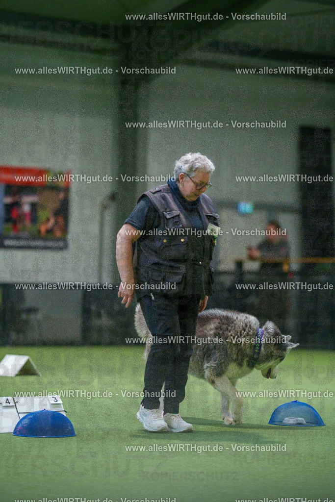 7R504371 | Professionelle Tierfotografie in Mönchengladbach von Daniel Wirth (allesWIRTHgut). Liebevolle & natürliche Bilder von Hunden & Katzen für unvergessliche Erinnerungen.