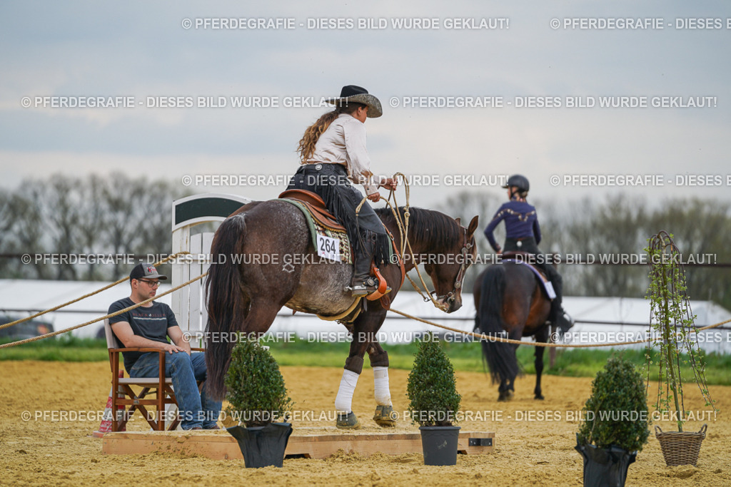 DSC07391 | Pferdegrafie