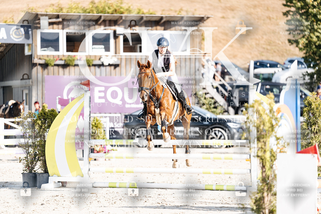 CK909595 | Turnierfotografie Pferdefotografie Trier Rheinland-Pfalz Pferdesport Reitsport Tierfotografie Sportfotografie Pferdevideo Pferdevideografie Equestrianvideography equestrianphotography  - Realisiert mit Pictrs.com