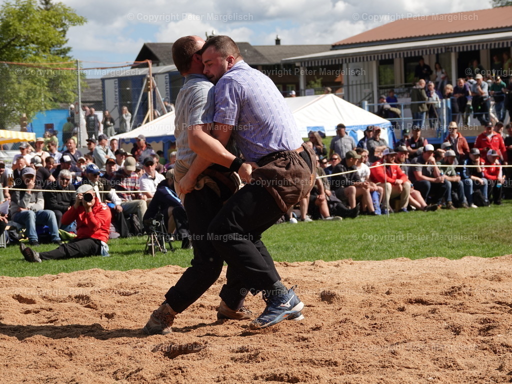 DSC07117 | Schwingen - Realisiert mit Pictrs.com