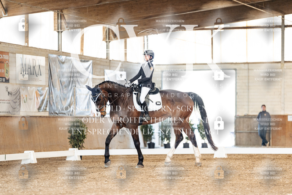 CK901177 | Turnierfotografie Pferdefotografie Trier Rheinland-Pfalz Pferdesport Reitsport Tierfotografie Sportfotografie Pferdevideo Pferdevideografie Equestrianvideography equestrianphotography  - Realisiert mit Pictrs.com