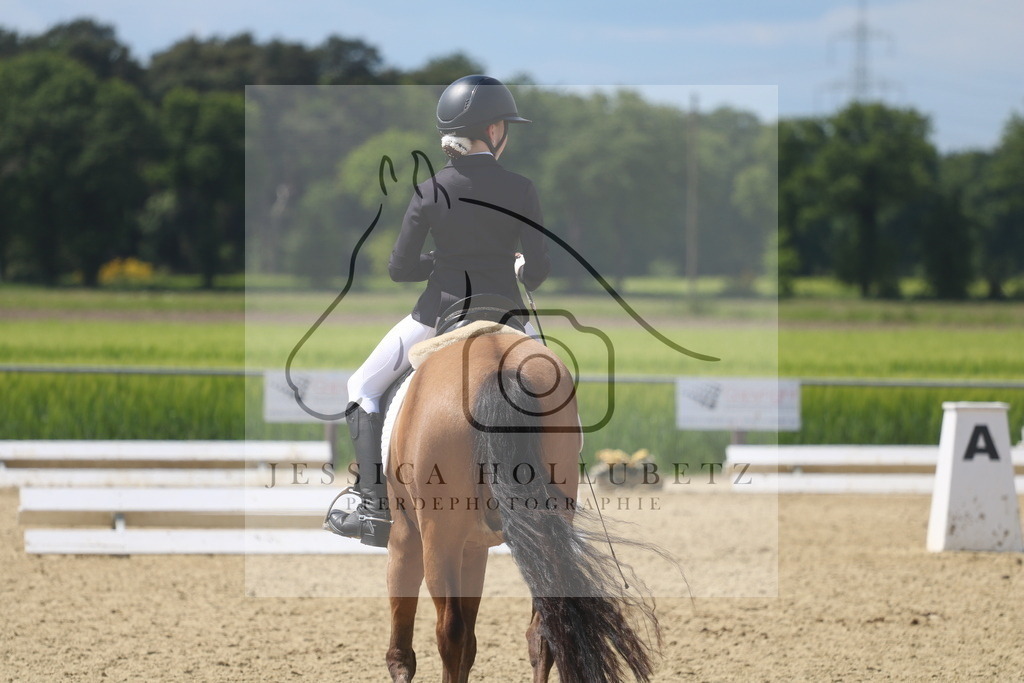 IMG_4576 | jessicahollubetz_pferdephotographie - Realisiert mit Pictrs.com