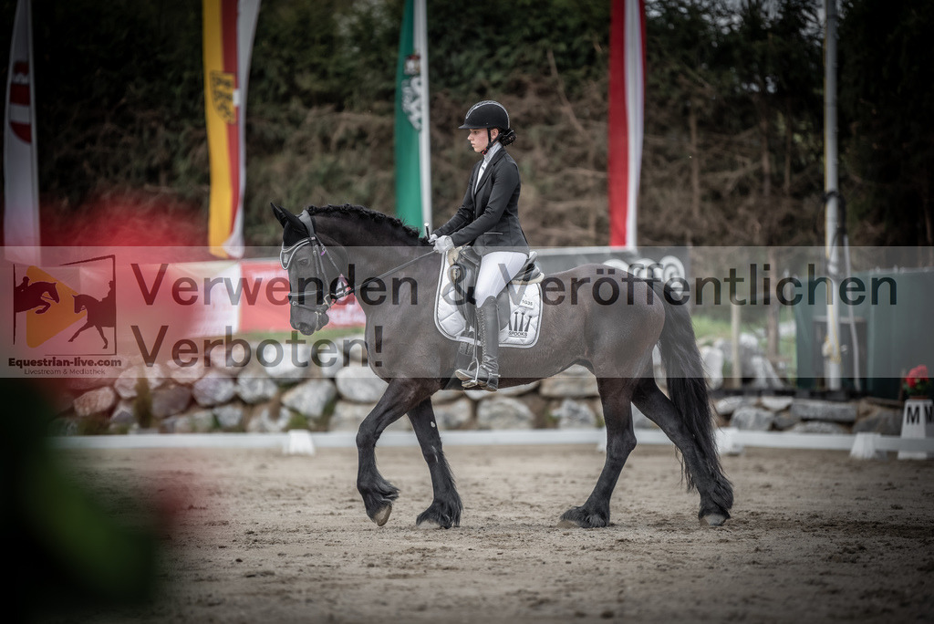 DSC_3181 | equestrian-live-com