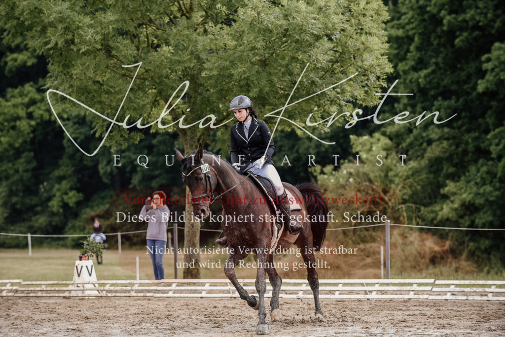 DSC_8652 | Pferde- und Turnierfotografie in Westsachsen. Pferdeportraits, Auftragszeichnungen und intuitive Kunst.