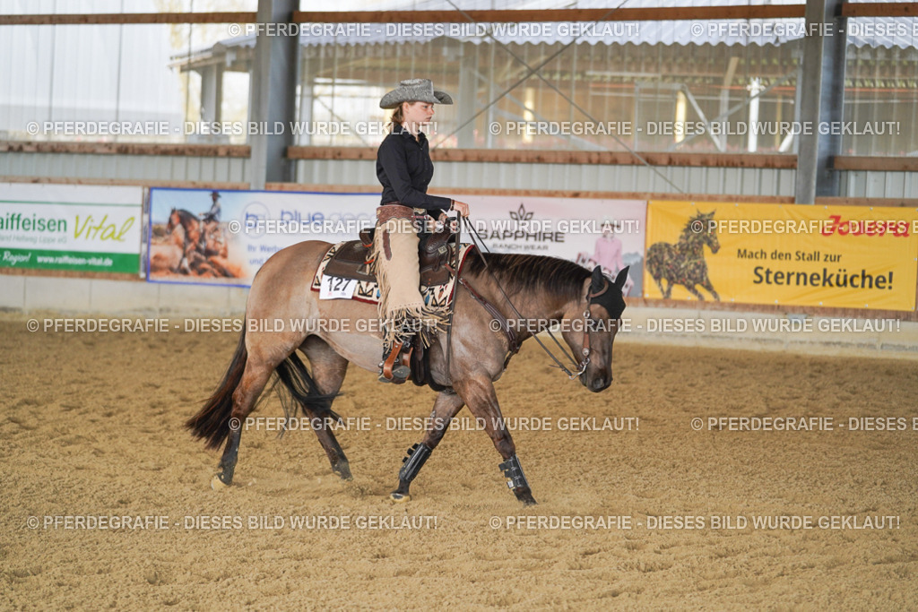 DSC00380 | Pferdegrafie