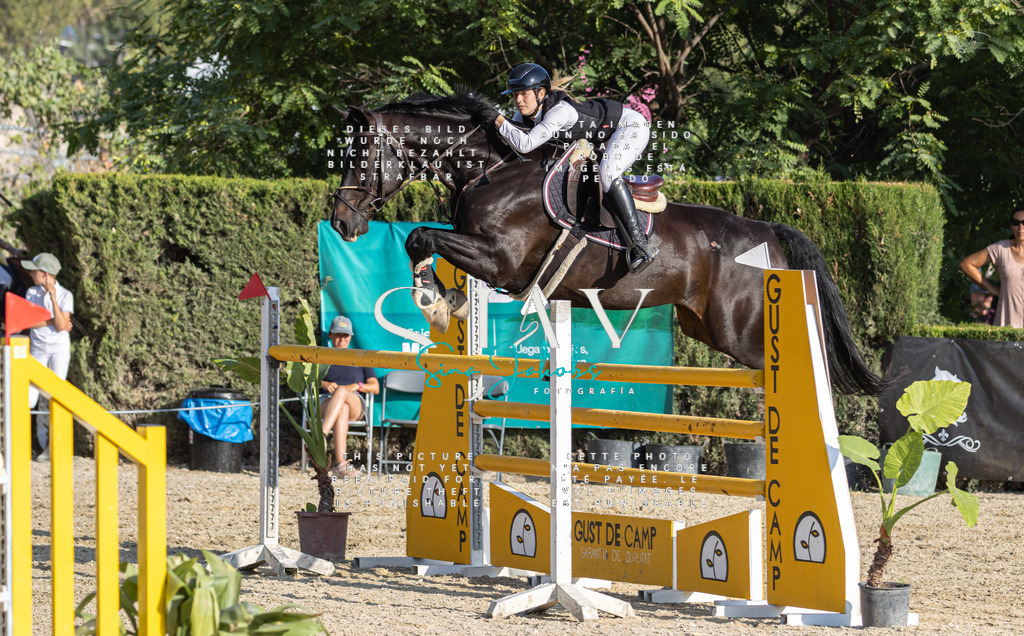 IMG_9474 | s-jay-photography - Realisiert mit Pictrs.com