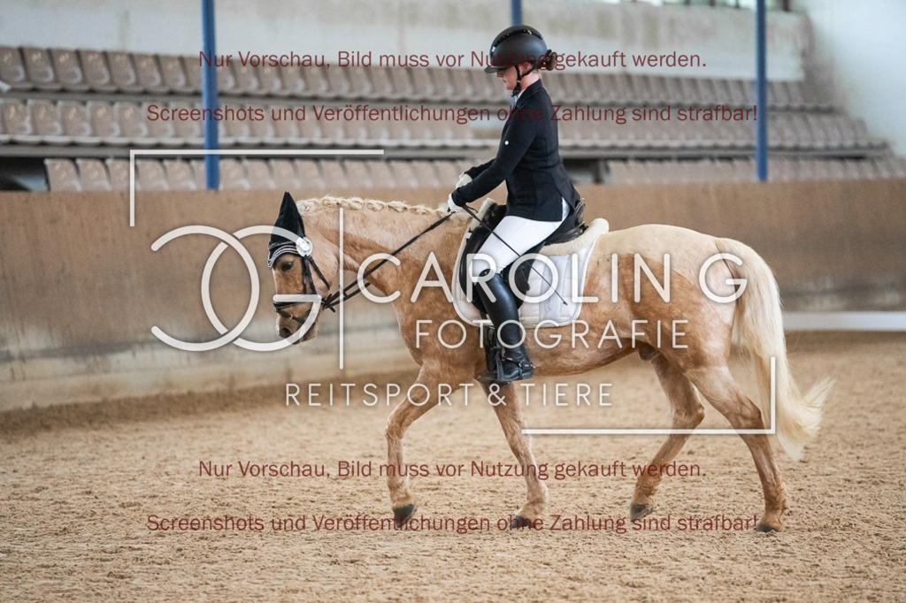 DSC02123 | Reitturnier_Göppingen_April_2026, Sarah_Andrea_Löffler, Golden_Dream_67