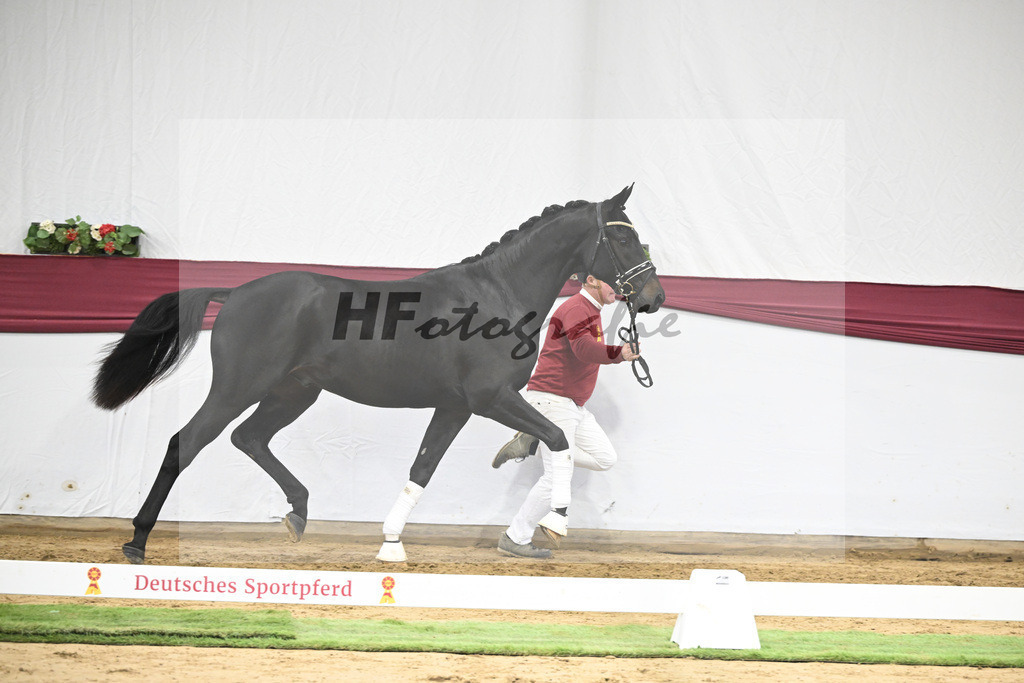 Kat-Nr. 23 Va Pensiero x De Niro_Christiane Schindele_47250715 | hf-fotografie - Realisiert mit Pictrs.com